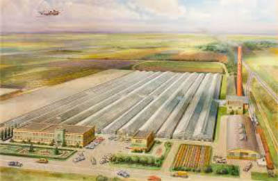 BALL HORTICULTURAL COMPANY* West Chicago IL 6085 USA